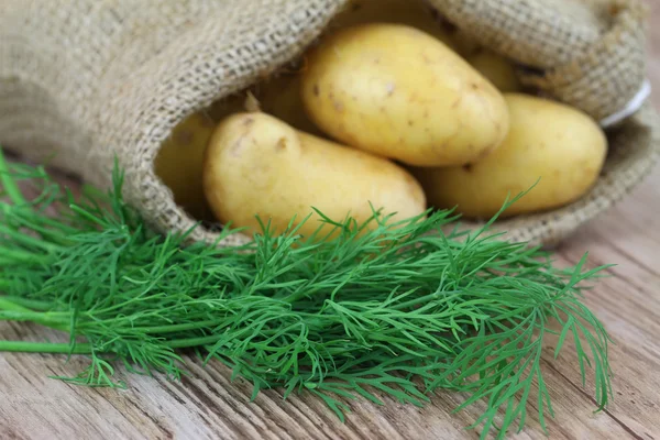 Endro fresco e batatas novas em saco de juta — Fotografia de Stock
