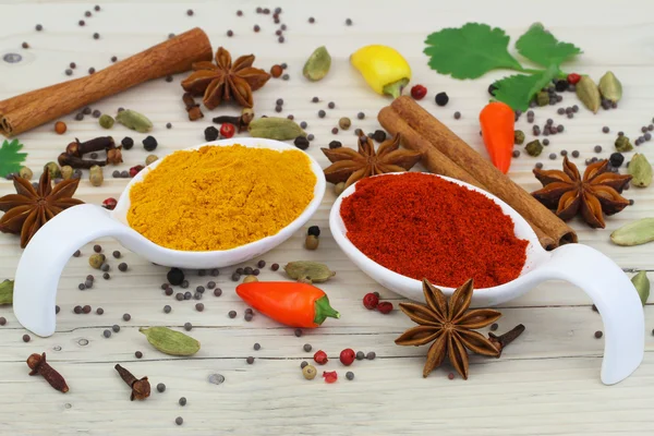 Colorful selection of Indian spices — Stock Photo, Image