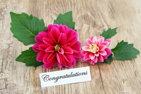 Bonne carte avec des fleurs roses dahlia — Photo