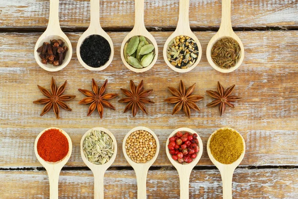 Selection of Indian spices — Stock Photo, Image
