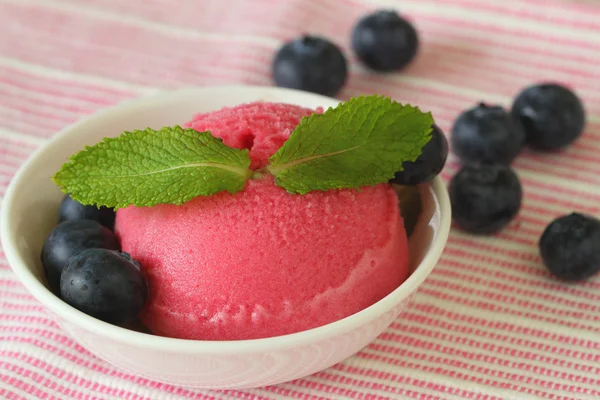 与新鲜蓝莓森林水果冰糕 — 图库照片