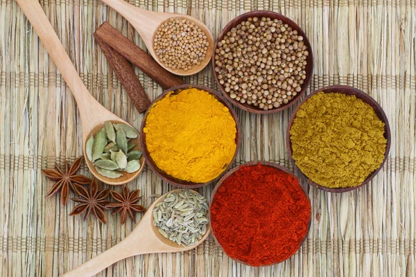 Selection of Indian spices — Stock Photo, Image