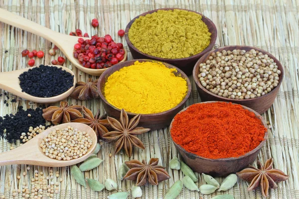 Selection of Indian spices — Stock Photo, Image