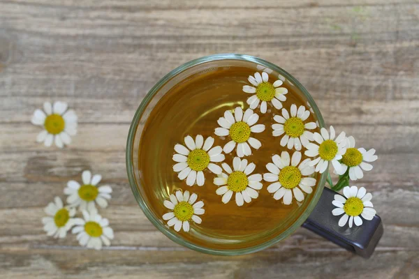 Chamomile tea — Stock Photo, Image