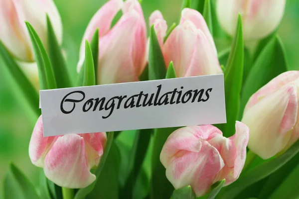 Glückwunschkarte mit rosa Tulpen — Stockfoto