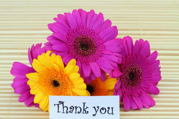 Tackkort med färgglada gerbera daisies — Stockfoto