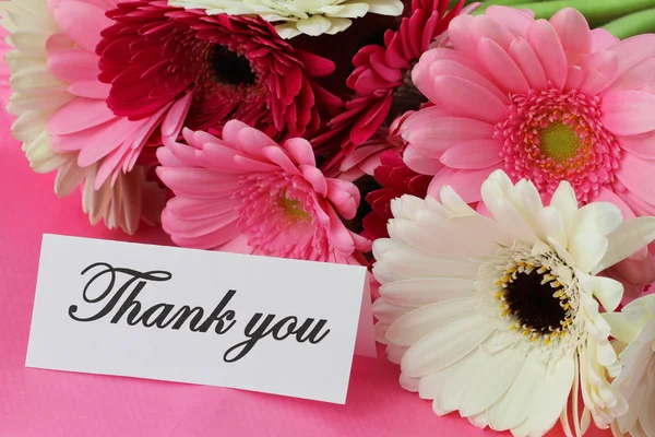 Thank you card and colorful gerbera daisies — Stock Photo, Image