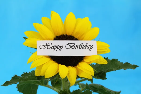 Happy Birthday card with sunflower — Stock Photo, Image