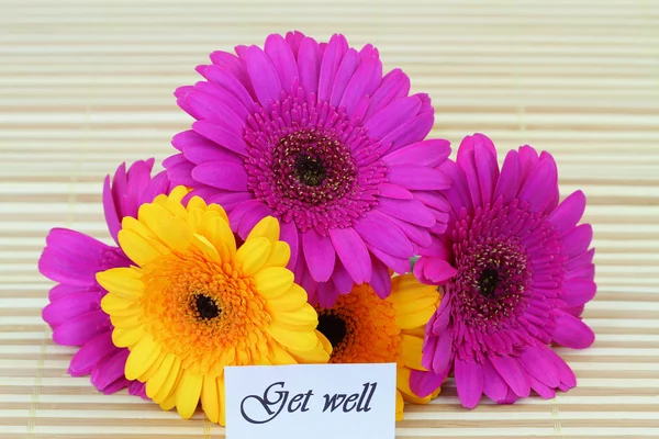 รับทราบอย่างดีกับ Gerbera daisies สีสันสดใส — ภาพถ่ายสต็อก