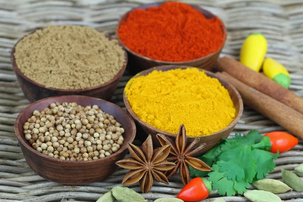 Selection of Indian spices and chilies — Stock Photo, Image