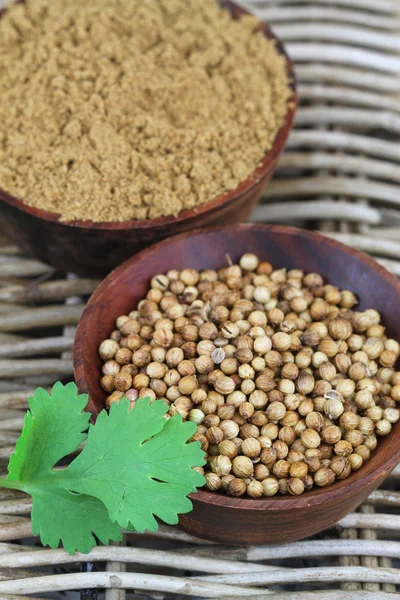 Coriander seeds, coriander powder and fresh coriander on wicker surface — Stock Photo, Image