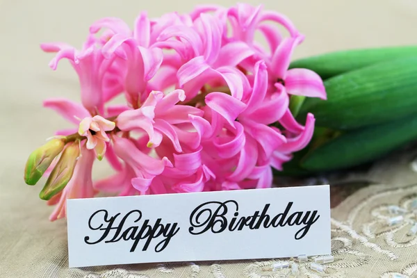 Tarjeta de cumpleaños feliz con jacinto rosa —  Fotos de Stock