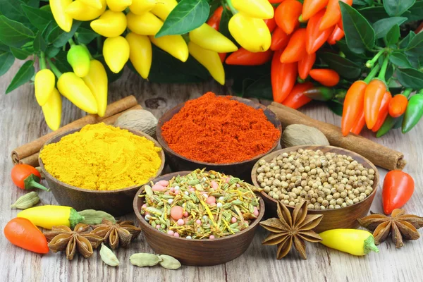 Selection of Indian spices and chilies — Stock Photo, Image