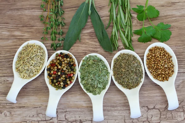 Selection of herbs and spices on porcelain spoons on wooden surface — Stock Photo, Image