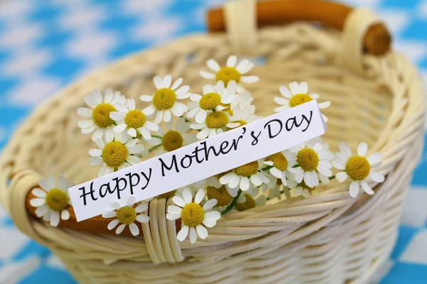 Šťastné matky den karta s květy heřmánku v proutěném koši — Stock fotografie