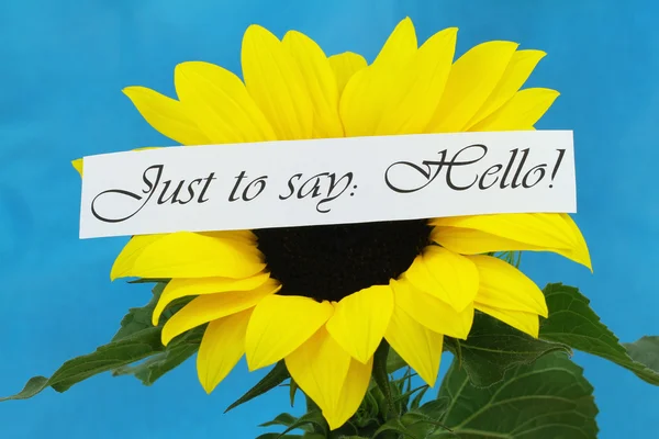 Jen říct Ahoj kartu s slunečnice — Stock fotografie