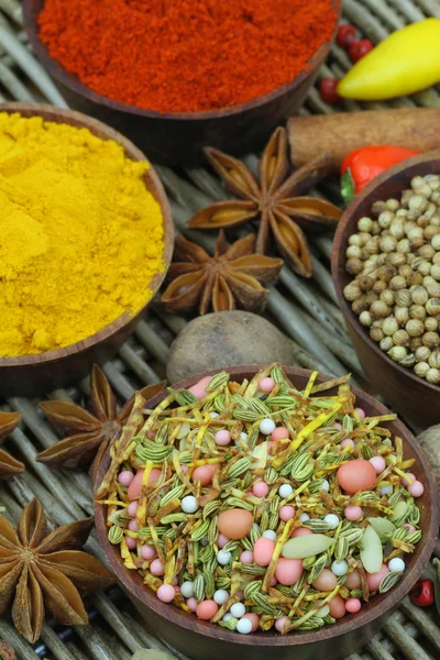 Selection of Indian spices and fresh chilies, close up — Stock Photo, Image