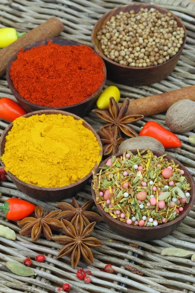 Selection of Indian spices and fresh chilies, close up — Stock Photo, Image