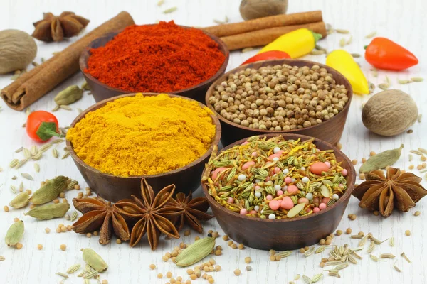 Selection of Indian spices and chilies — Stock Photo, Image