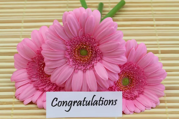 Gefeliciteerd kaart met roze gerbera madeliefjes — Stockfoto