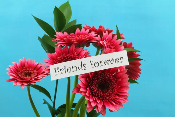 Vrienden voor altijd kaart met roze gerbera margrieten op blauwe achtergrond — Stockfoto