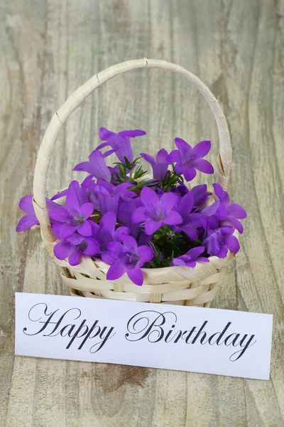 Happy birthday card with campanula flower basket — Stock Photo, Image