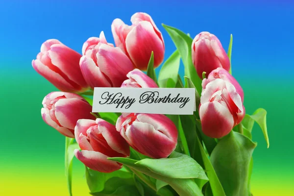 Feliz cartão de aniversário com tulipas rosa, em fundo colorido — Fotografia de Stock