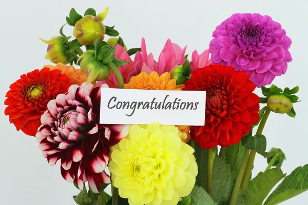 Glückwunschkarte mit bunten Dahlienblüten — Stockfoto