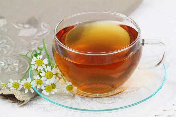 Tee und frische Kamillenblüten — Stockfoto