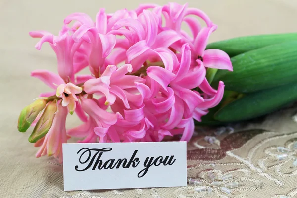 Thank you card with pink hyacinth flower — Stock Photo, Image