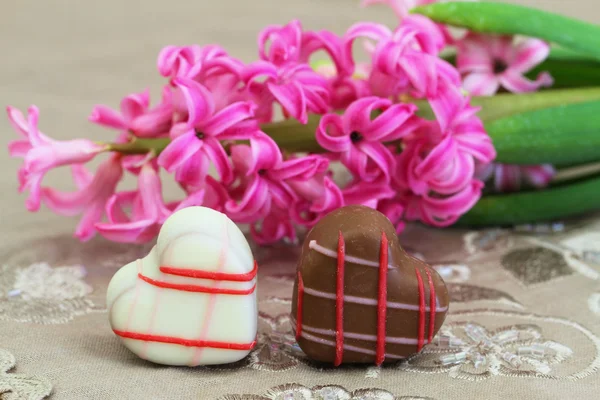 Two heart shaped chocolates, and pink hyacinth — Stock Photo, Image