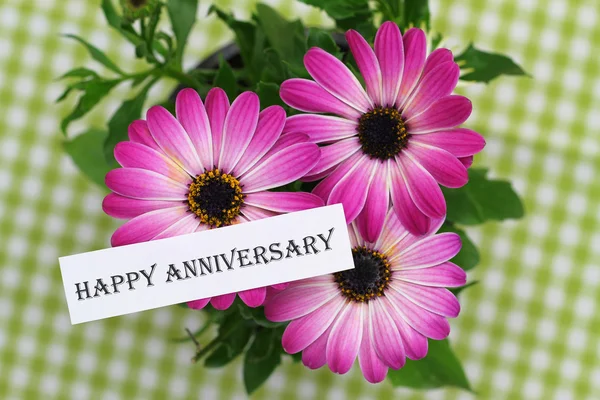 Tarjeta Feliz Aniversario con Gerberas rosas — Foto de Stock