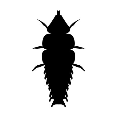 Büyüteç'i böcek. Trilobite böceği Duliticola Platerodrilus. Kroki Trilobite böcek. Trilobite beetle tasarım için boyama kitabı. Vektör