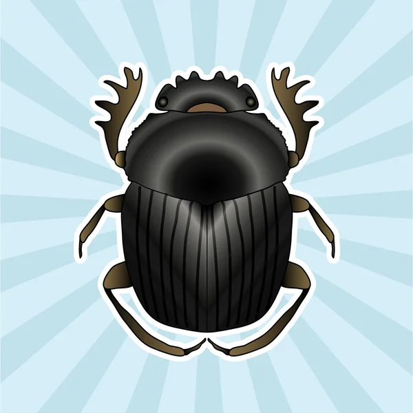 De anatomie van het insect. Sticker Mestkevers dor-kever. Schets van dor-kever. dor-kever. dor-kever - getekende scarab, dor-kever. Vector — Stockvector