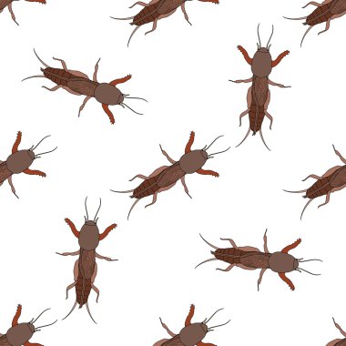 Avrupa köstebeği kriket ile Seamless modeli. Gryllotalpidae. Köstebek kriket çizilmiş. Vektör