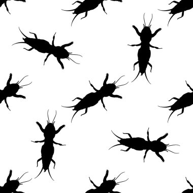 Avrupa köstebeği kriket ile Seamless modeli. Gryllotalpidae. Köstebek kriket çizilmiş. Vektör