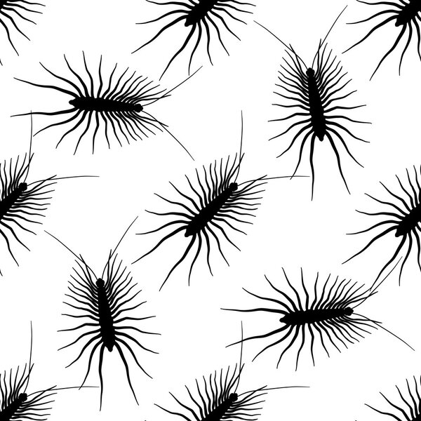 Seamless pattern with Scutigera coleoptrata. millipede. hand-drawn house centipede . Vector