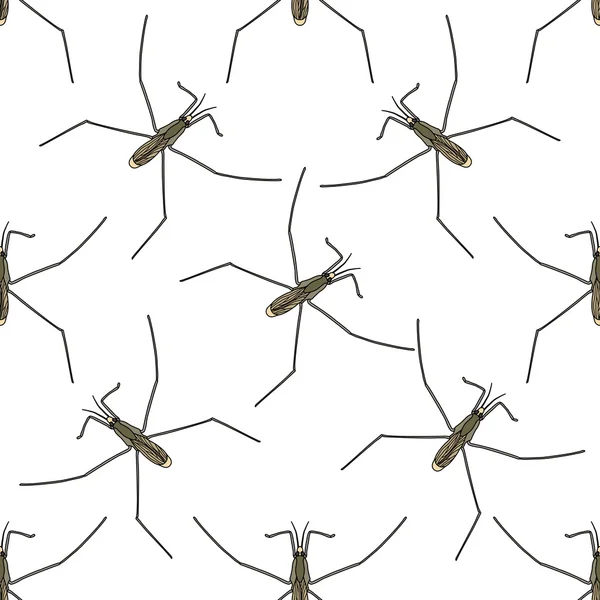 Seamless pattern with Common water strider. Gerridae. GERRIS LACUSTRIS. hand-drawn water strider . Vector — Stock Vector