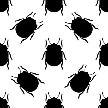 Colorado Patates böceği ile Seamless modeli. Bakanlıkça tavsiye. Colorado böceği. colorado böceği çizilmiş. Vektör