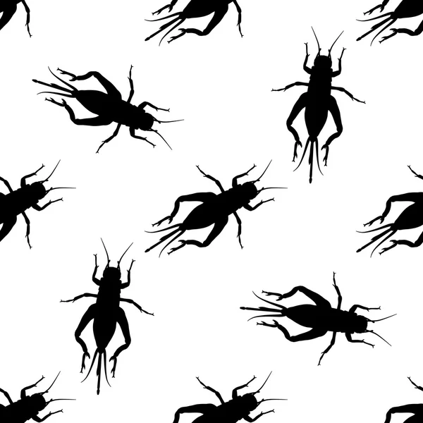 Seamless pattern with cricket or grig. Gryllus campestris.    hand-drawn cricket. grig. . Vector — Stock Vector