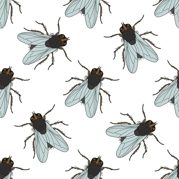 Seamless pattern with fly. Musca domestica . hand-drawn . fly. Vector — Stock Vector