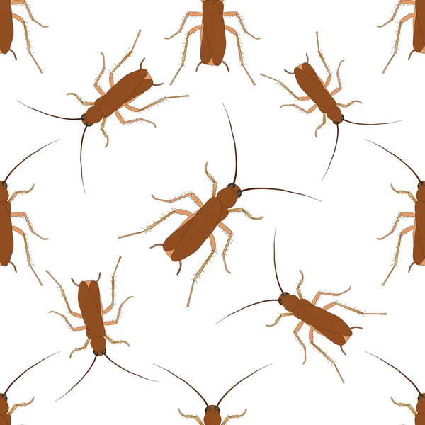 Seamless pattern with cockroach. blattella germanica   hand-drawn cockroach. Vector — Stock Vector