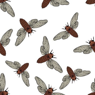 Ağustosböceği ile Seamless modeli. Cicadidae. Chremistica umbrosa. ağustosböceği çizilmiş. Vektör