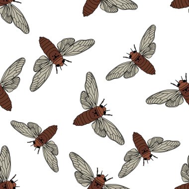 Seamless pattern with cicada . Cicadidae. Chremistica umbrosa.     hand-drawn cicada . Vector clipart