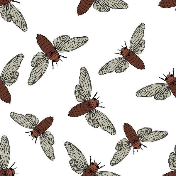 Ağustosböceği ile Seamless modeli. Cicadidae. Chremistica umbrosa. ağustosböceği çizilmiş. Vektör