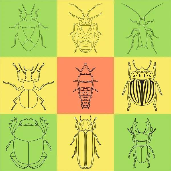 Insect icons set. dor-beetle and firefly, firebug and ant, fly and cockroach, colorado beetle and mosquito — Stock Vector