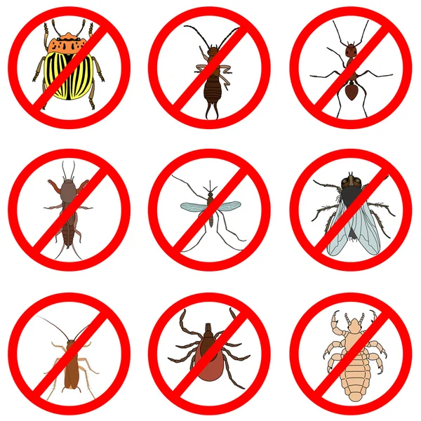 害虫および昆虫防除、アイコンを設定します。ダニとクリケット、バグとアリ、ハエとゴキブリ、コロラド州カブトムシと蚊、ベクトル — ストックベクタ