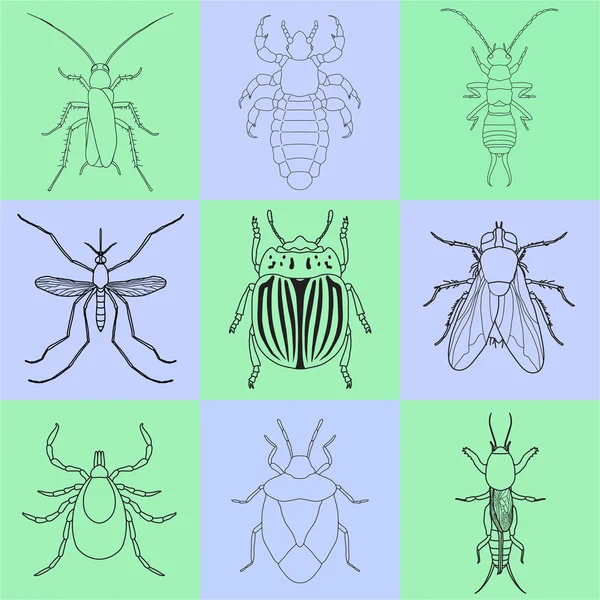 벌레 아이콘을 설정합니다. 집게 벌레 진드기, 악취 버그와 크리켓, 비행이, 콜로라도 딱정벌레 그리고 모기, — 스톡 벡터