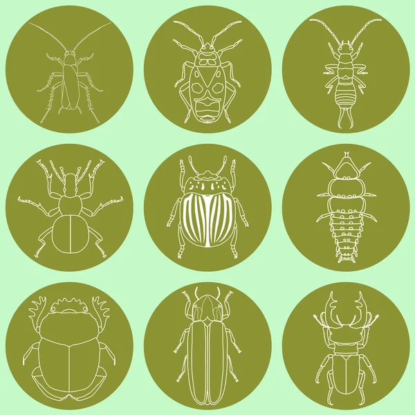 Conjunto de iconos de insectos. escarabajo-dor y luciérnaga, bengala y hormiga, mosca y cucaracha, escarabajo colorado y mosquito — Vector de stock