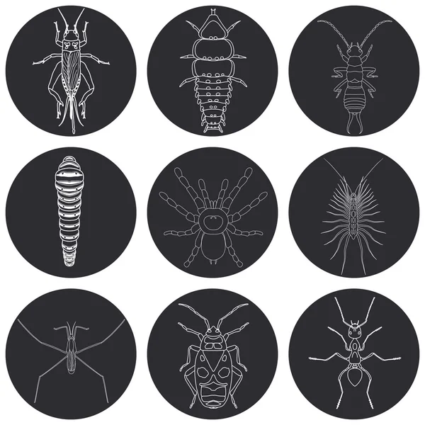 Conjunto de iconos de insectos. Peluca auricular y escarabajo trilobite, bengala y grillo, ciempiés y oruga, hormiga y estrangulador de agua , — Vector de stock